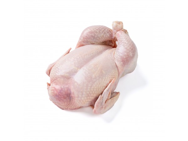 Kurczak świeży 1,80 kg/szt.